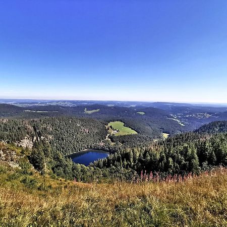 Appartamento Residenz Grafenmatt "Abendsonne" Feldberg  Esterno foto