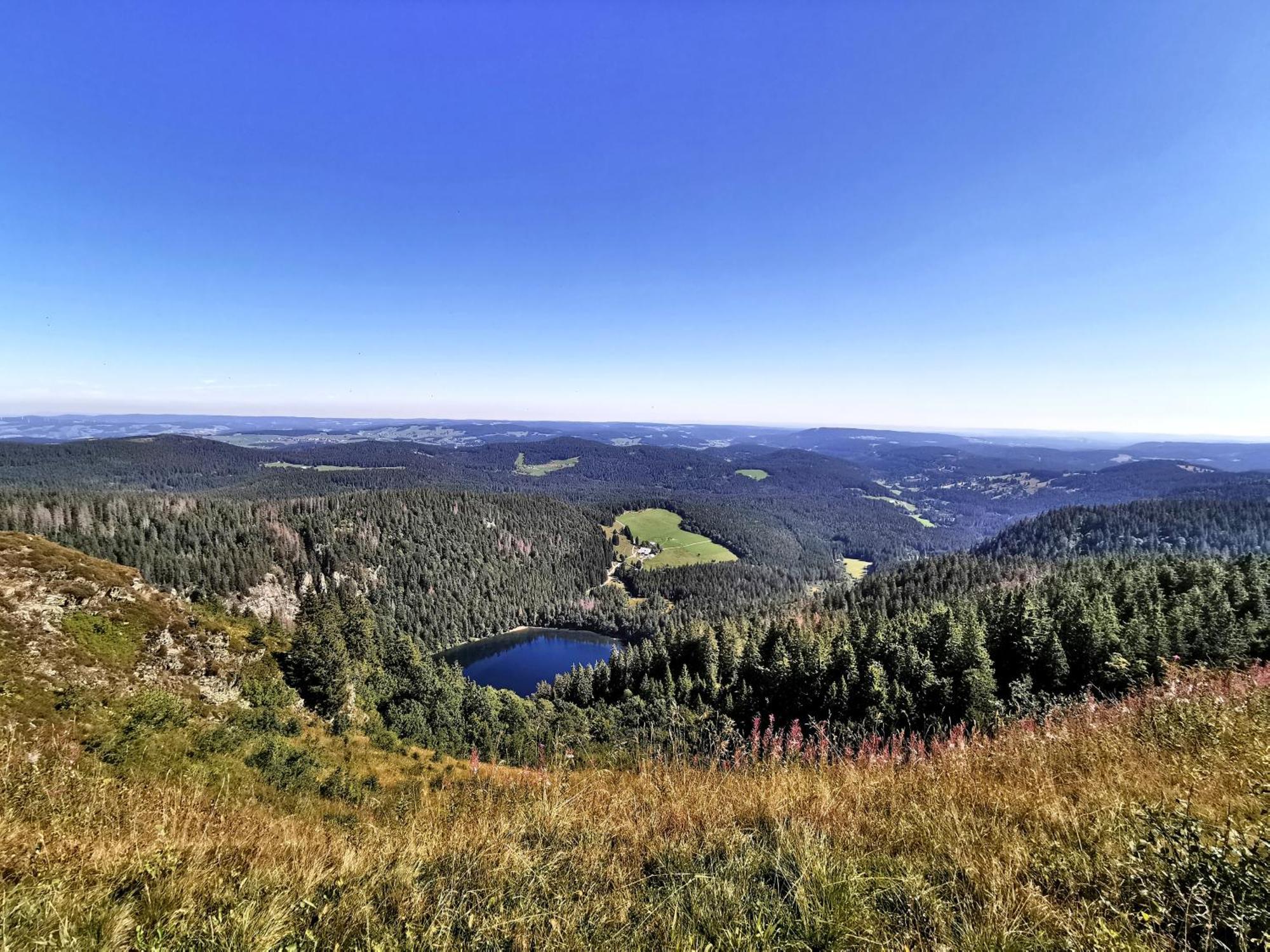 Appartamento Residenz Grafenmatt "Abendsonne", Feldberg Rinken Esterno foto