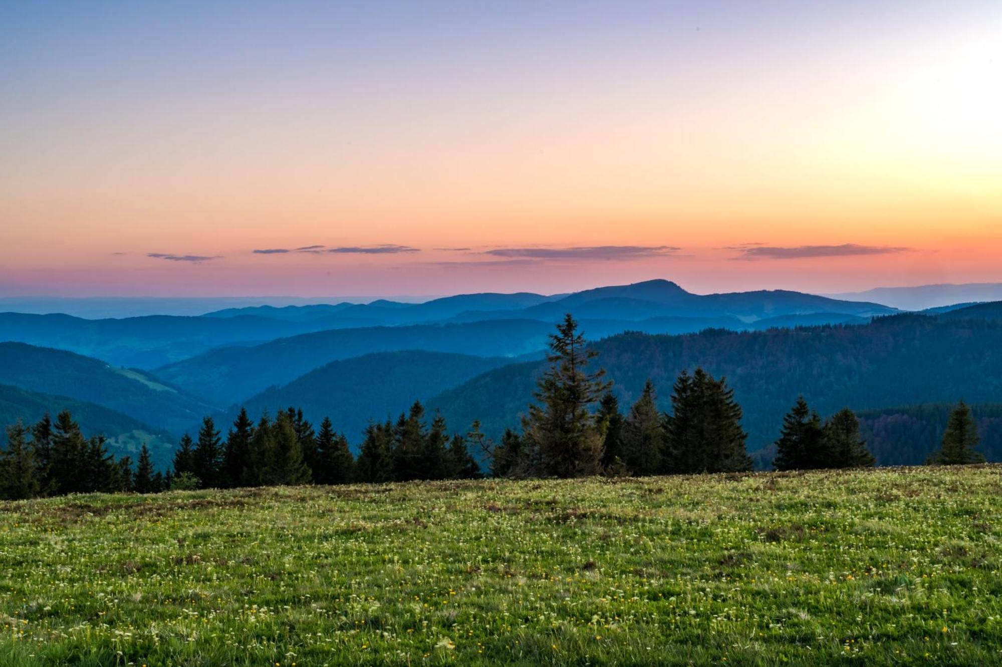 Appartamento Residenz Grafenmatt "Abendsonne", Feldberg Rinken Esterno foto